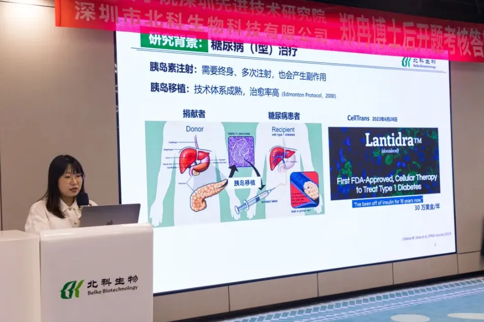 Zheng Ran presenting the research background on type 1 diabetes treatment at the lectern