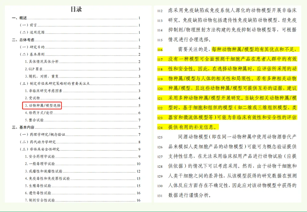 Draft guideline pages: table of contents beside a highlighted passage on animal species and model selection