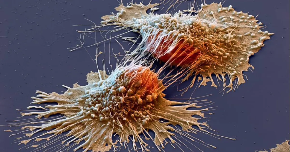 Introducing Beike Biotechnology’s Strategic Cooperation and Immunotherapy Programs