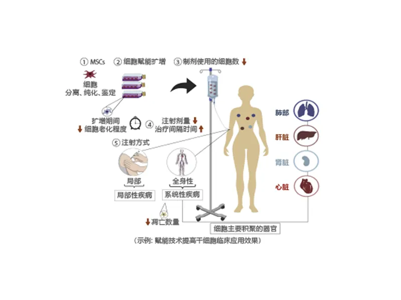 Empowering Mesenchymal Stem Cell Platform — research figure