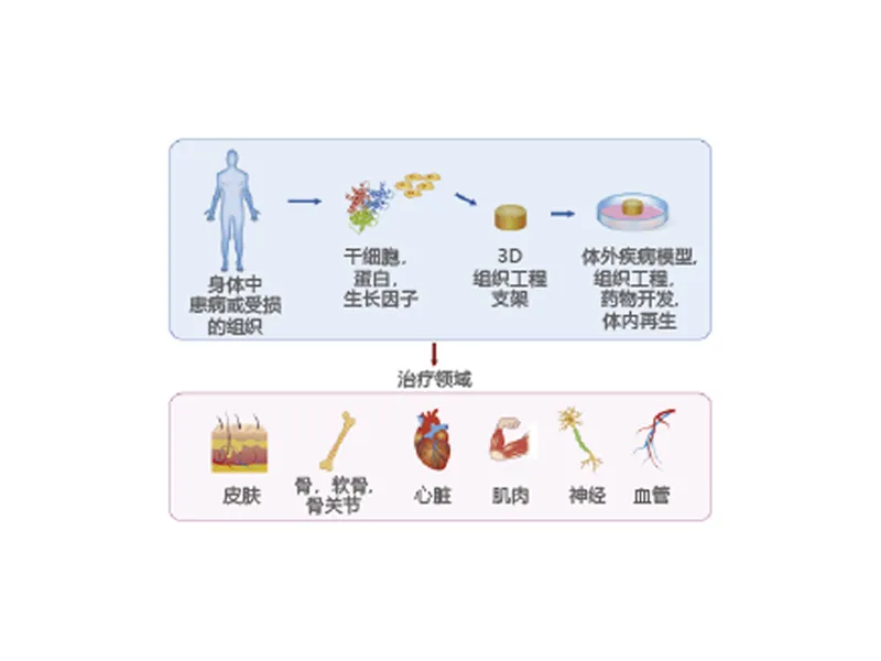 Biomaterials Platform — research figure