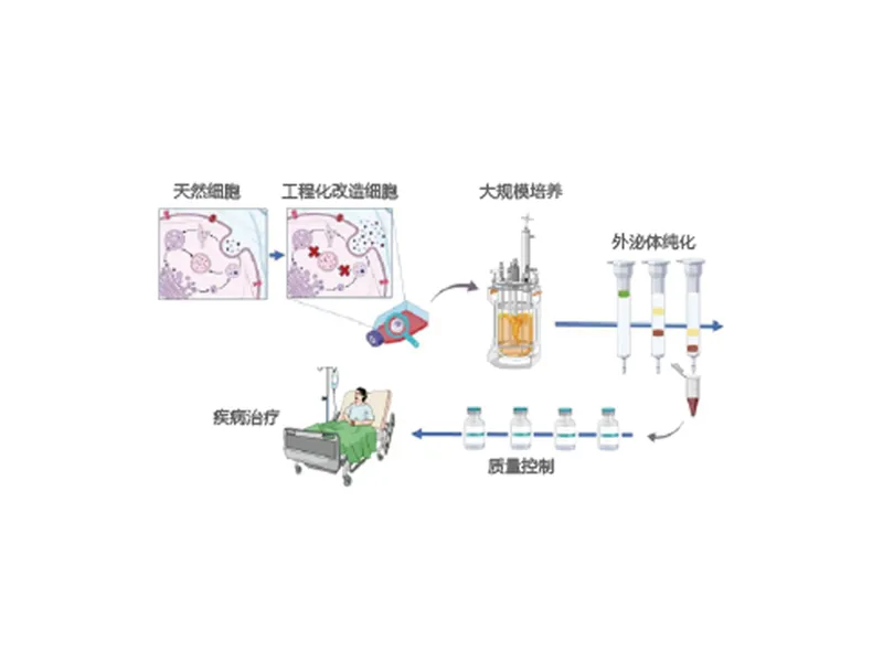 Large-Scale Exosome Production & Purification Platform — research figure