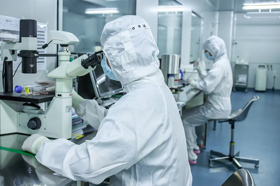 Stem Cell Storage