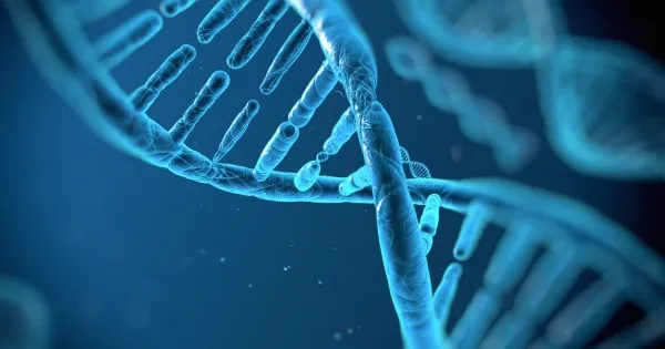 The Three Pillars of Cell Therapy