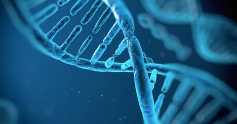 The Three Pillars of Cell Therapy